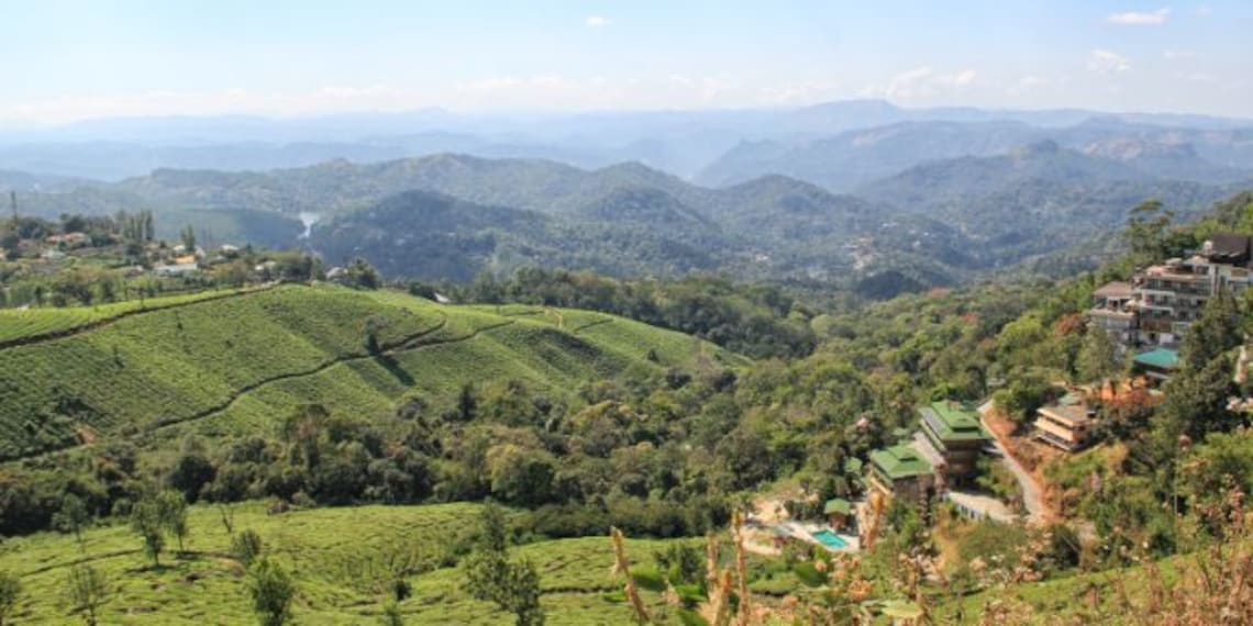 Pothamedu View Point-1